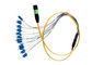 12 Core MPO Fiber Optic Patch Cord Single Mode And Multimode Fiber Optic Cable supplier