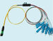 12 Fiber MPO to SC Fiber Optical Patch Cord For Telecommunication Network supplier