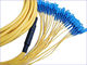 High Density Compact SM 24 Strand LSZH Indoor Ribbon Fiber Optic Cable supplier