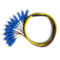 12 Core SC 3mm Fiber Optic Pigtail , Single Mode / Multimode Pigtail supplier