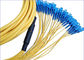 12 Core 24 Core SC-SC Fiber Patch Cord for Communication Network And CATV supplier