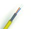 PVC Jacket Spiral Stainless Steel Armored Indoor Fiber Optic Cable Flame Resistant supplier