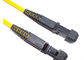 SINGLEMODE Fiber Optic Patch Cord MTRJ MTRJ DUPLEX 9/125 G625D supplier